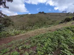 View 38