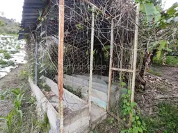 View 40