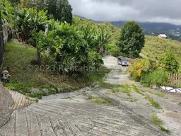 View 4