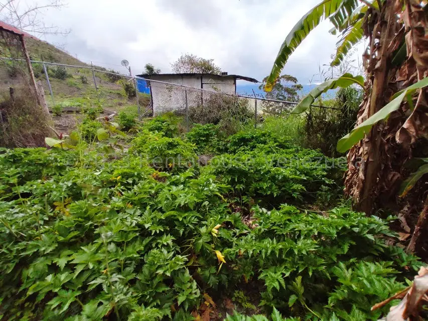 Casa (Multipes Niveles) en Venta en Sector Potrero Perdido, Aragua - 42