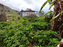 View 42