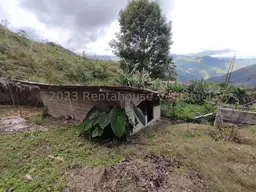 View 44