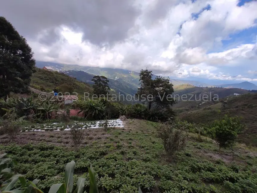 Casa (Multipes Niveles) en Venta en Sector Potrero Perdido, Aragua - 45