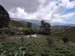 View 45