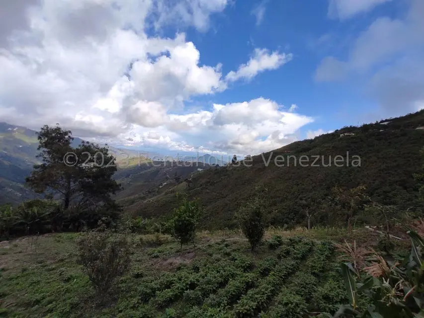 Casa (Multipes Niveles) en Venta en Sector Potrero Perdido, Aragua - 46