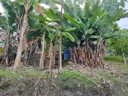 View 47