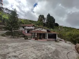 View 6