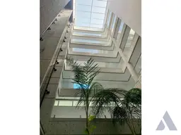 Vista 14