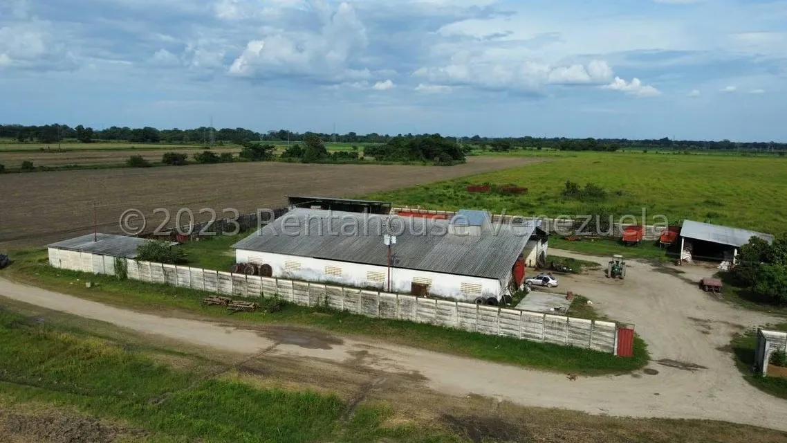 Terreno (Finca) en Venta en Araure, Portuguesa - 11