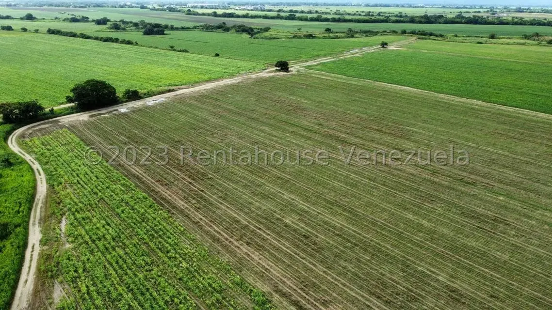 Terreno (Finca) en Venta en Araure, Portuguesa - 12
