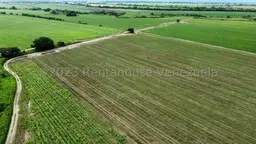 View 12