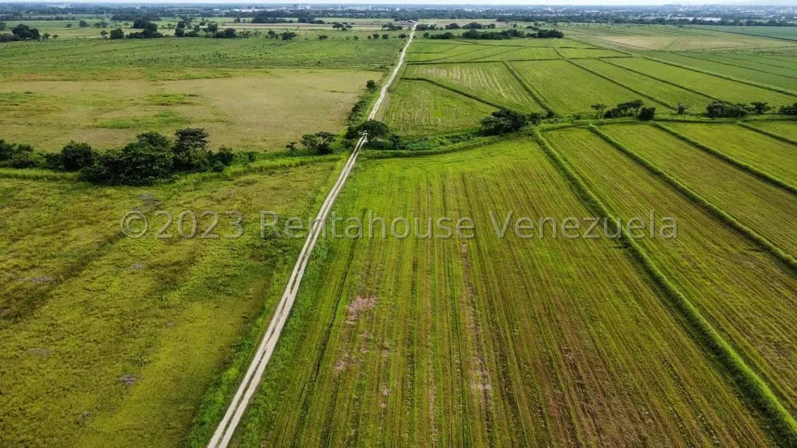Terreno (Finca) en Venta en Araure, Portuguesa - 15