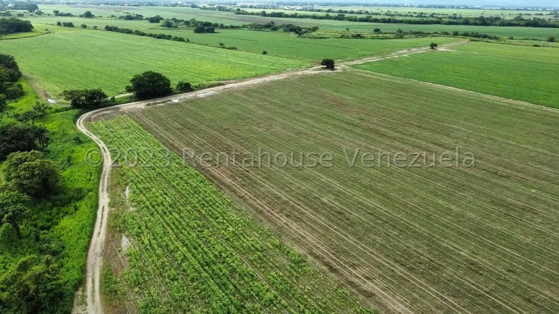 Terreno (Finca) en Venta en Araure, Portuguesa - 16