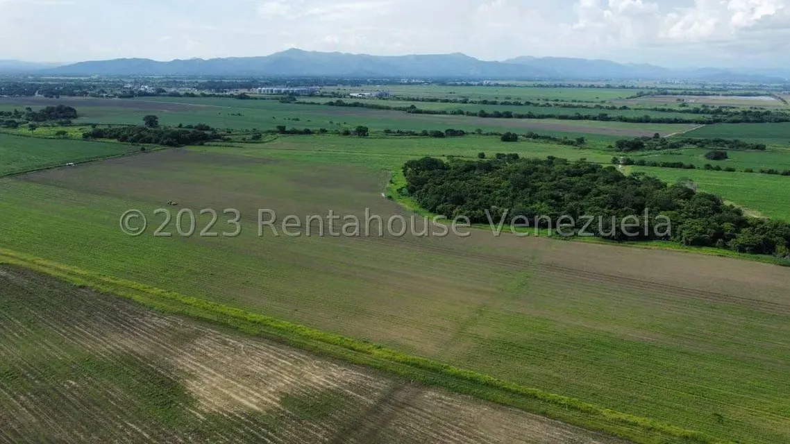 Terreno (Finca) en Venta en Araure, Portuguesa - 18