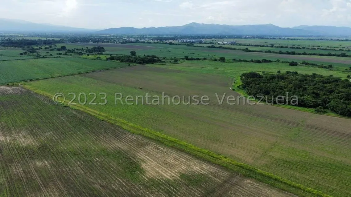 Terreno (Finca) en Venta en Araure, Portuguesa - 19