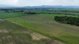 View 19