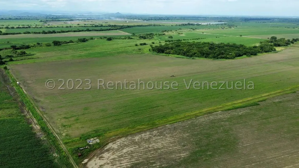 Terreno (Finca) en Venta en Araure, Portuguesa - 2