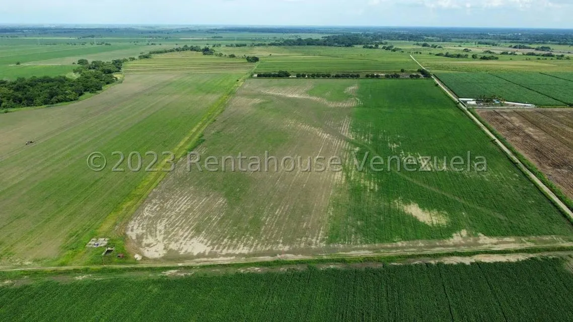 Terreno (Finca) en Venta en Araure, Portuguesa - 3