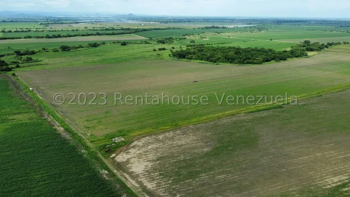 Terreno (Finca) en Venta en Araure, Portuguesa - 5