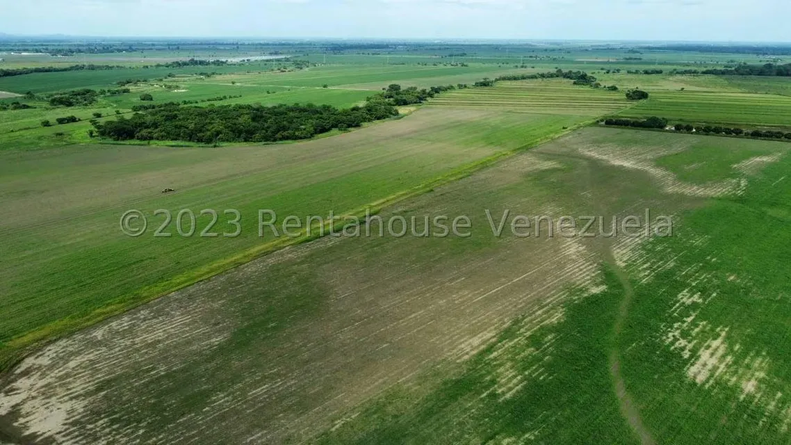 Terreno (Finca) en Venta en Araure, Portuguesa - 7