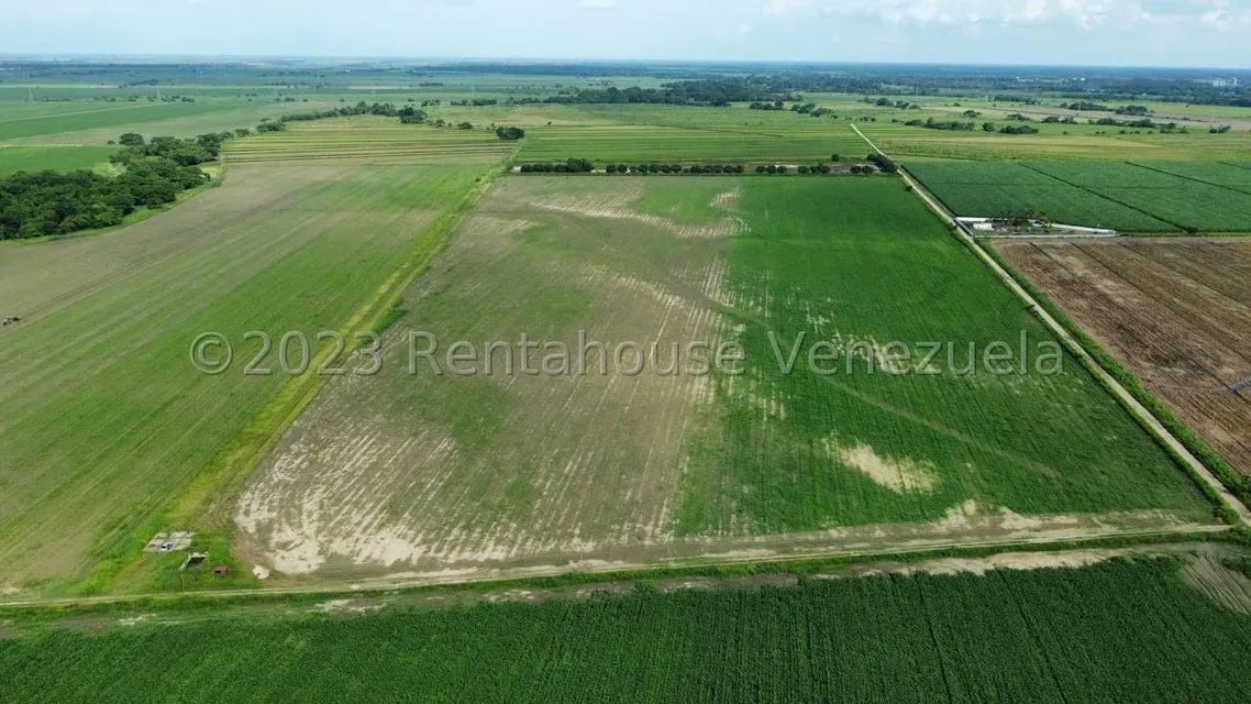 Terreno (Finca) en Venta en Araure, Portuguesa - 8