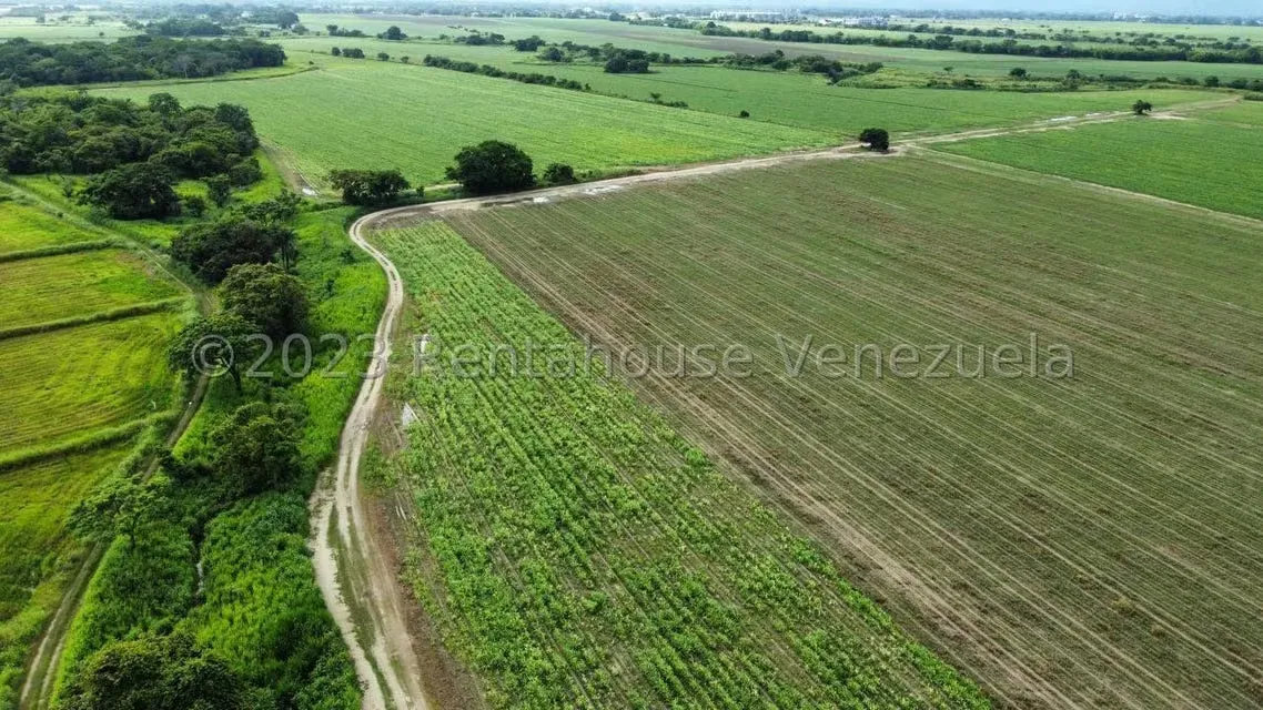 Terreno (Finca) en Venta en Araure, Portuguesa - 9