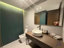 Vista 24
