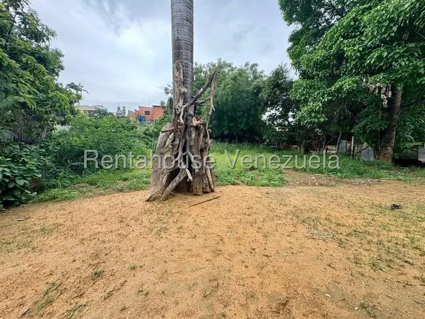 Terreno (Comercial) en Venta en Centro, Lara - 37