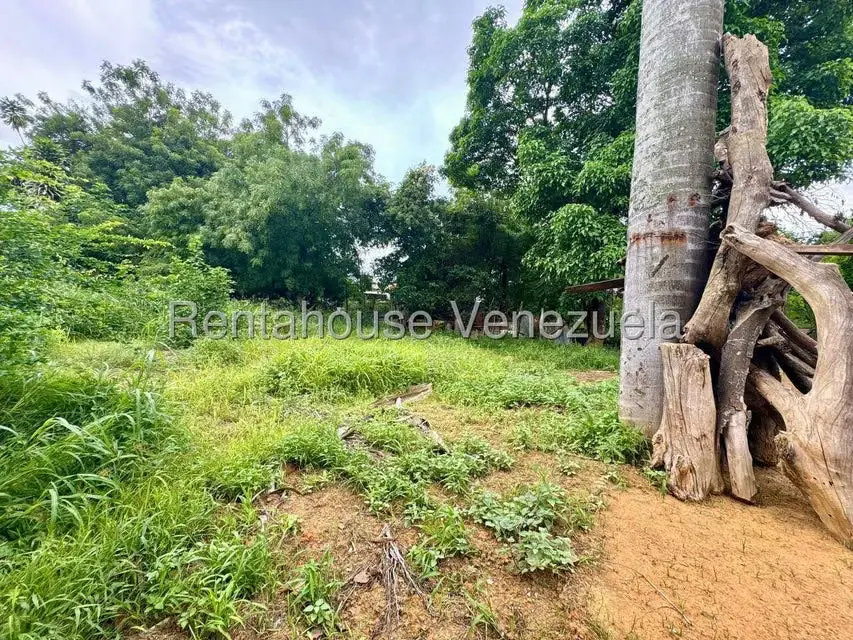 Terreno (Comercial) en Venta en Centro, Lara - 38