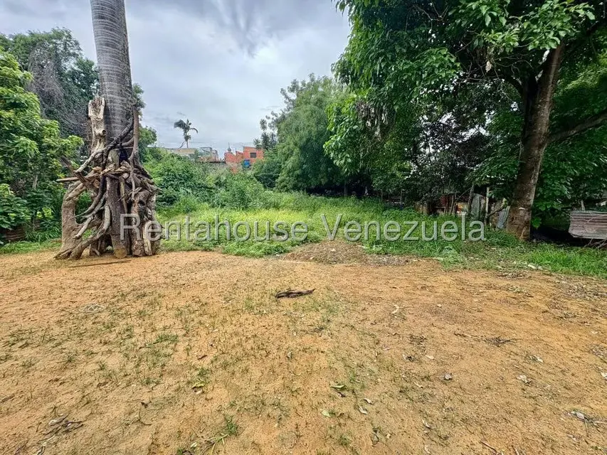 Terreno (Comercial) en Venta en Centro, Lara - 42