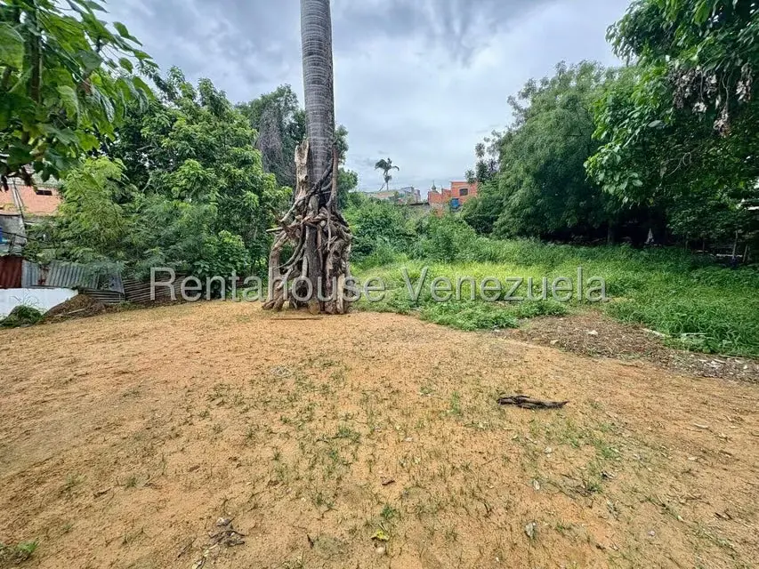 Terreno (Comercial) en Venta en Centro, Lara - 53
