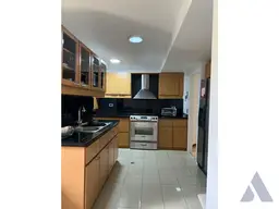 Vista 4