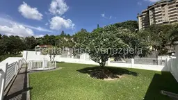 View 39