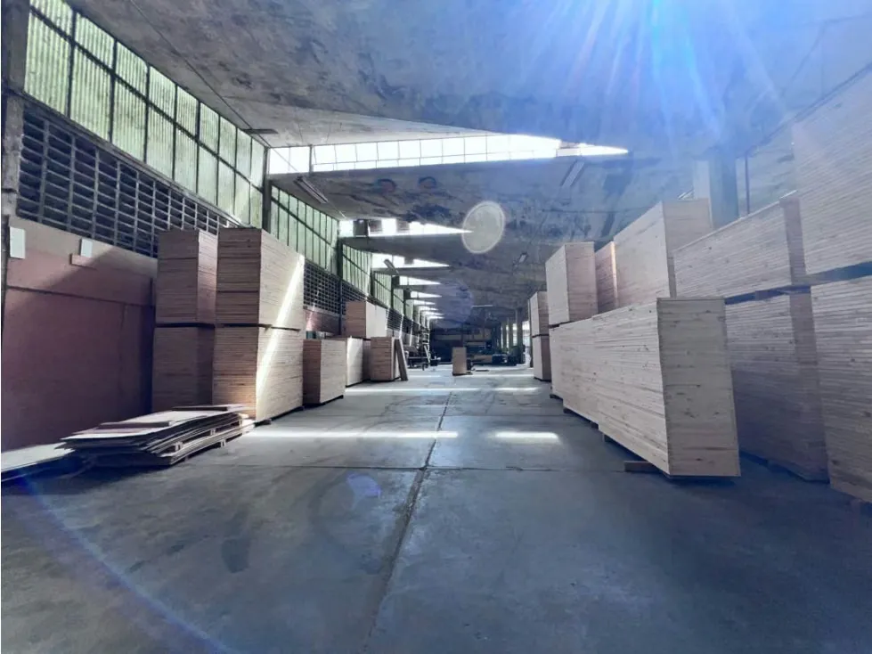 Galpón en venta en Baruta - 12