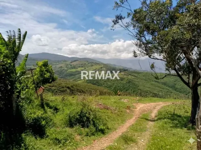 LOTE CON VISTA 180° en venta ubicado en Capacho - 2