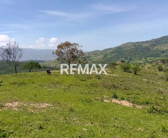 LOTE CON VISTA 180° en venta ubicado en Capacho - 4