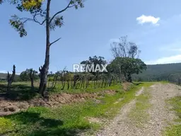 Vista 5