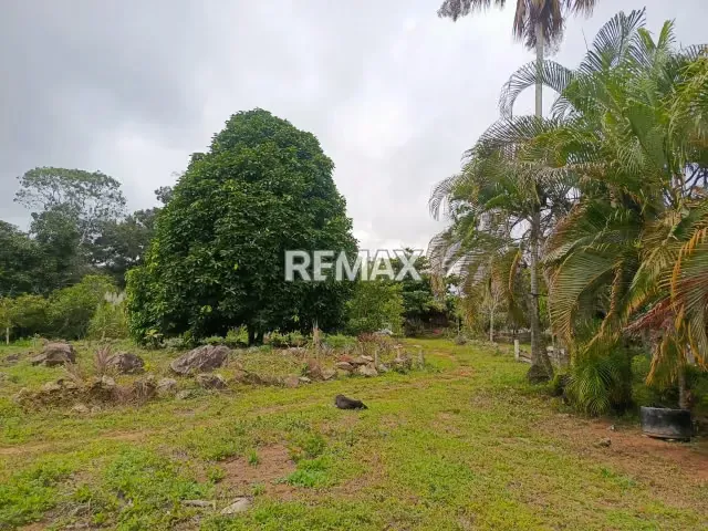 Finca, con 2 Casas en Venta Aldea La Mata, Sector las Delicias Mcpio Escuque Trujillo - 4