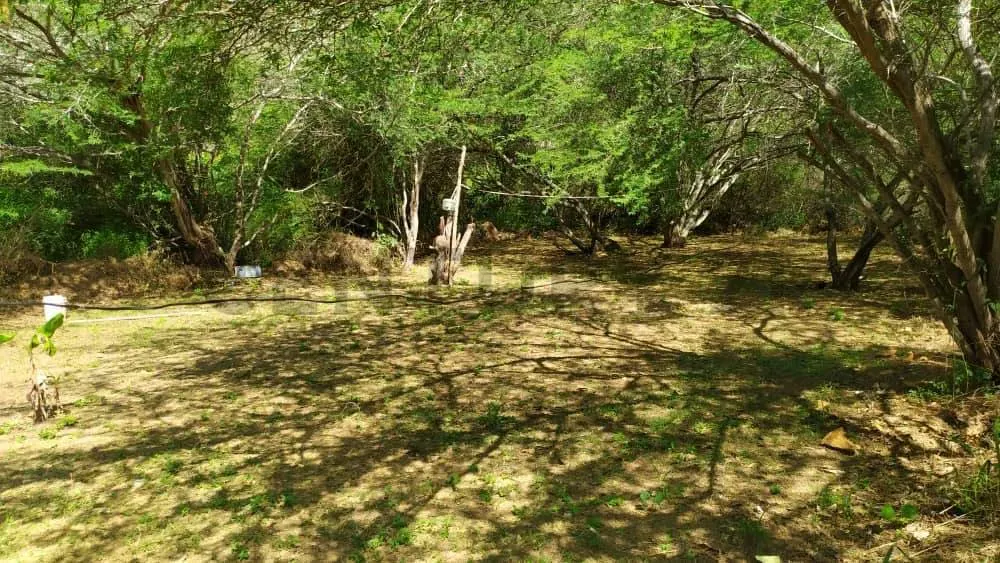 Terreno con Pozo de Agua - 3