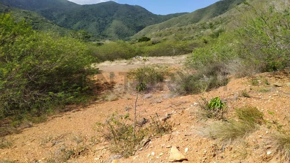 Terreno con Pozo de Agua - 5