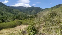 Vista 6