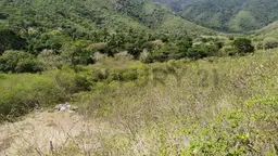 Vista 7