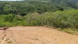 Vista 9