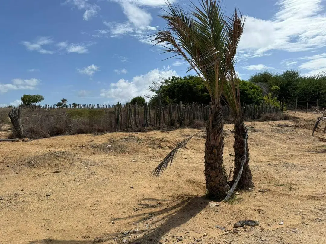 Venezuela, Estado Nueva Esparta,Municipio Diaz,Terreno con Vista al Mar - 2