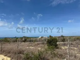 Vista 3