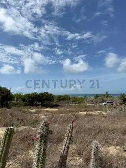 Vista 5