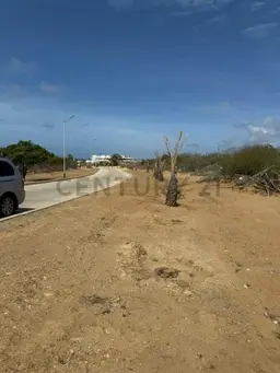 Vista 9