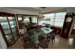 Vista 19