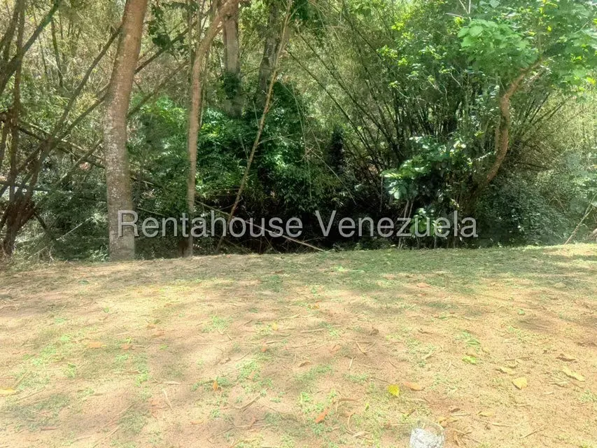 Terreno (Residencial) en Venta en Miranda, Distrito Metropolitano - 6