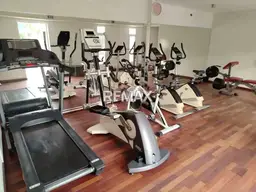 Vista 4